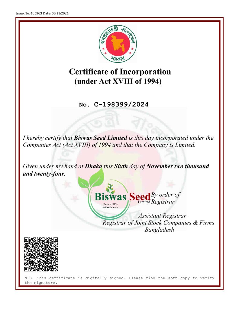 440175 2024905618862 fi92zefj iiiiiiiiiiiiiiiiiiiiii